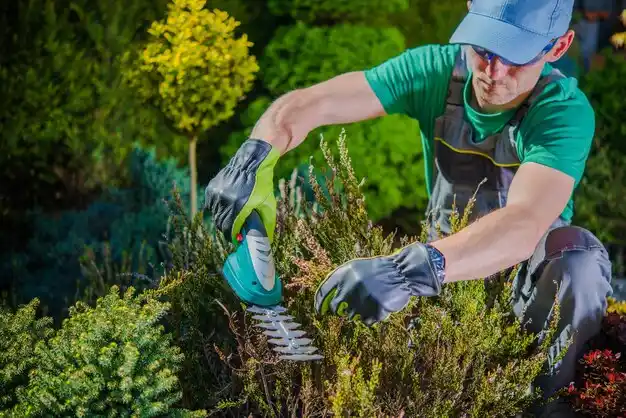 landscaping services Malcolm
